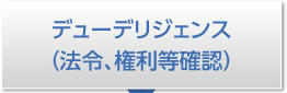 デューデリジェンス(法令、権利等確認)