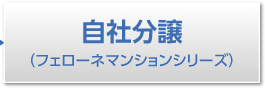 自社分譲（フェローネマンションシリーズ）