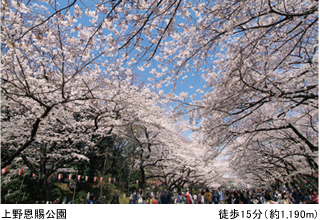 上野恩賜公園 徒歩15分（約1,190m）