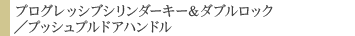 プログレッシブシリンダーキー＆ダブルロック／プッシュプルドアハンドル