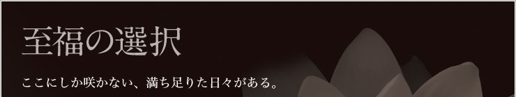 ̑I ɂ炩ȂA肽XB