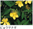 rEiM
