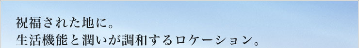 jꂽnɁB@\Əa郍P[VB