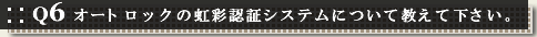 Q6 I[gbN̓ʔF؃VXeɂċĉB