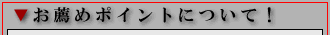 お薦めポイント!