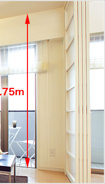 V䍂ő2.75m@C[Wʐ^