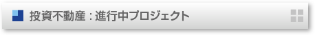  投資不動産 : 進行中プロジェクト 